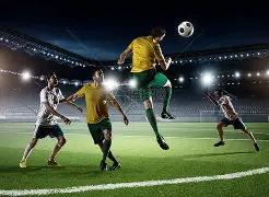 娱乐,明星领养潮,不断,江南体育平台,江南体育官方网站,江南体育登录入口,江南体育app下载