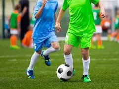 娱乐,明星领养潮,不断,江南体育平台,江南体育官方网站,江南体育登录入口,江南体育app下载