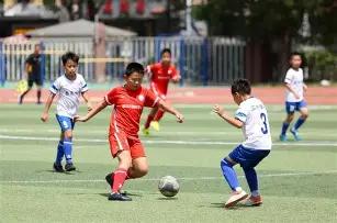 女足世界杯,备受瞩目,总奖金却不,江南体育平台,江南体育官方网站,江南体育登录入口,江南体育app下载