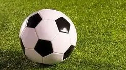 江南体育 资讯 090644 bog