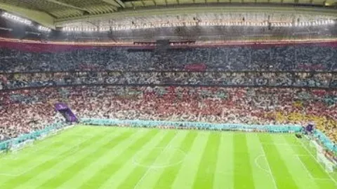 欧洲惊现“狗性觉醒”：揭秘“犬类自我认同”现象挑战传统认知边界